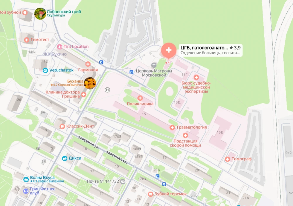 Морг г. Лобня - лобненской центральной городской больницы